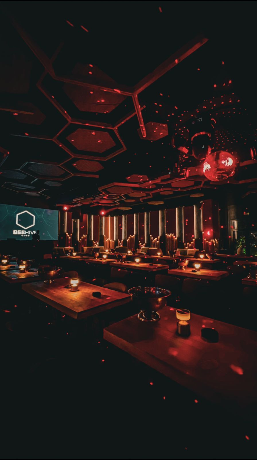 Bee Hive CLub, Gammarth