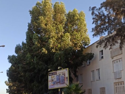 Sultana Muna restaurant, Cité Taeib M'hiri