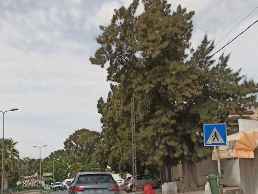 Kawekeb, Franceville