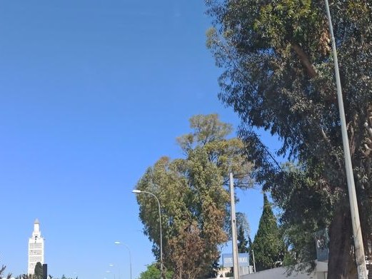 Cafétéria Aziz, Les Jardins