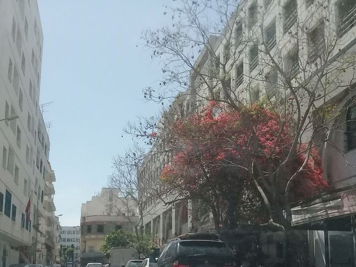 La Costa, Lafayette