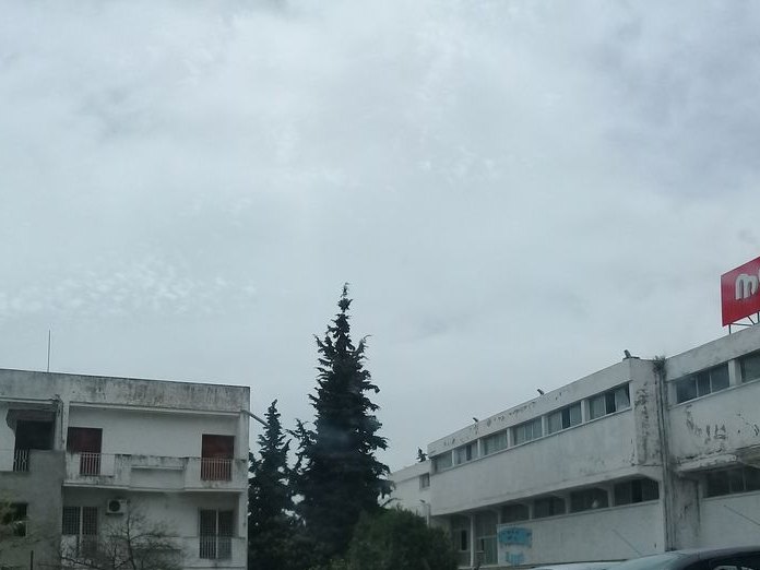Pantree, El Manar 2