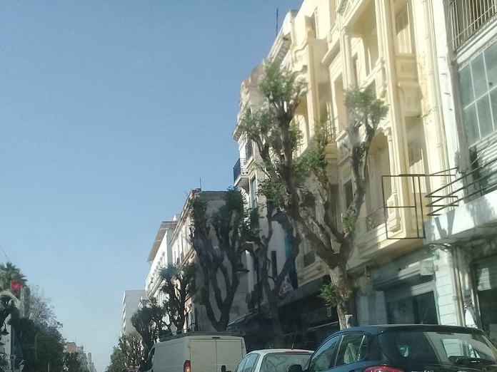café casanova, Médina de Tunis