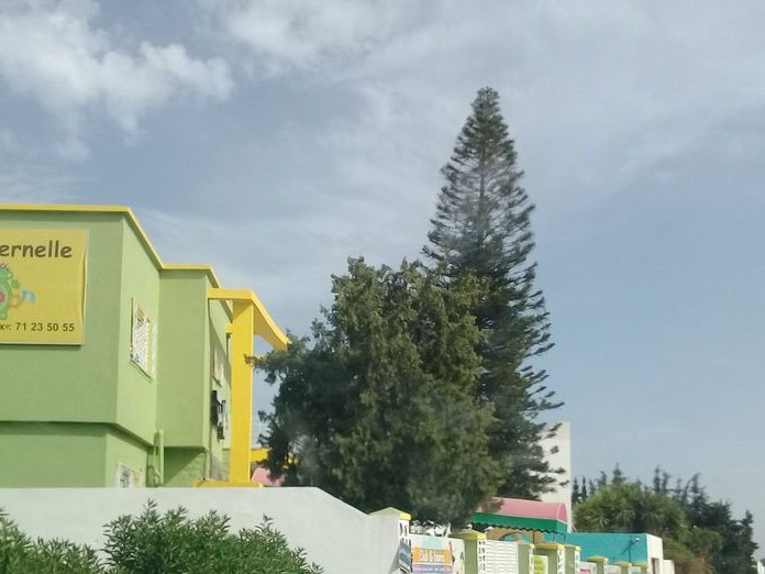 Café El Amir, El Menzah 7