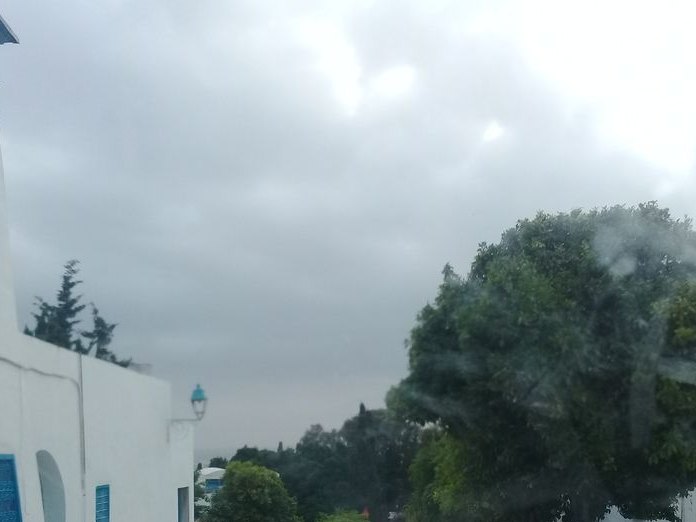 Galerie Hédi Turki, Amilcar