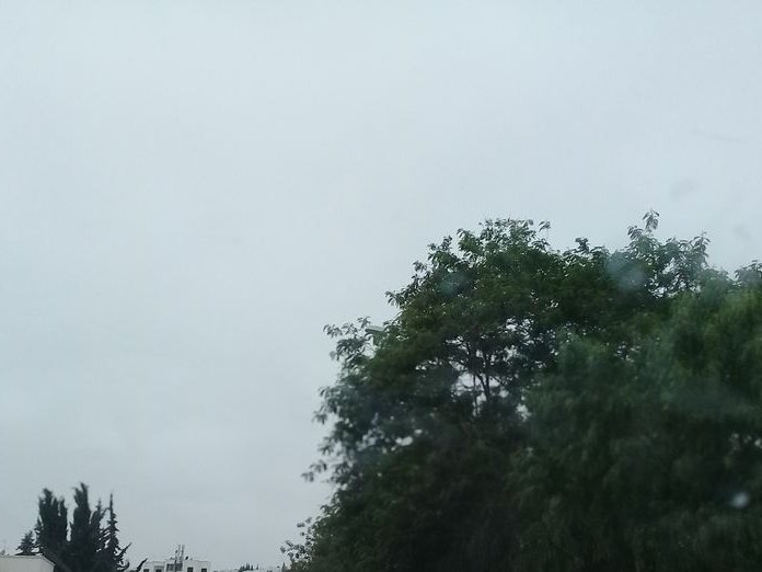 Lilla Arbia, El Manar 2