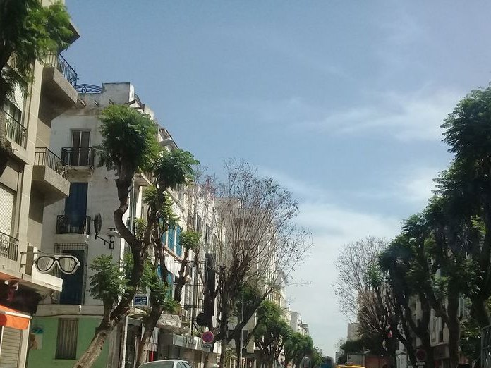 El bazzar, Lafayette
