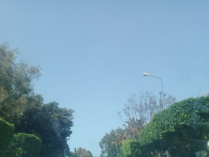 Palmarium, Tunis Centre, Saf Saf