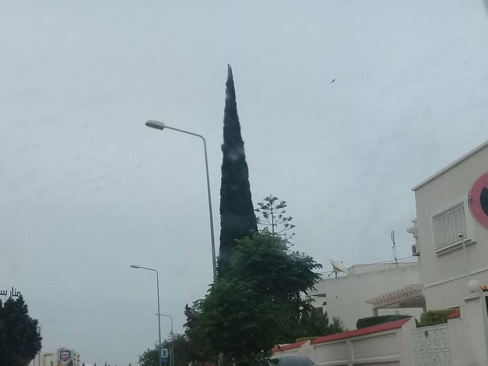 Wefit El Manar, El Manar 2