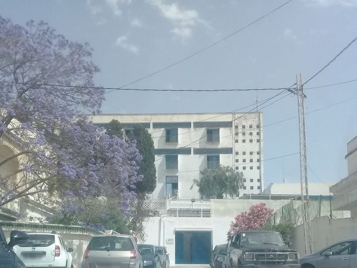Frida Brow Bar, Marsa Corniche