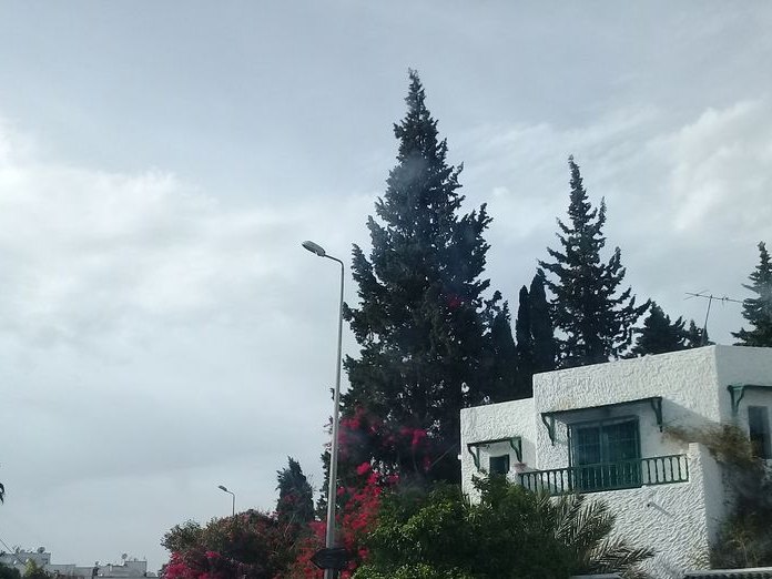 Madame Jdidi, El Menzah 7