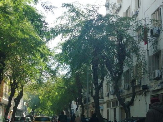 Lyon Sport, Bab El Khadhra