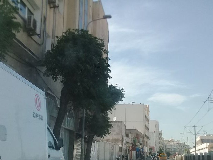 Blanc Sur Blanc, Sidi Al Bachir