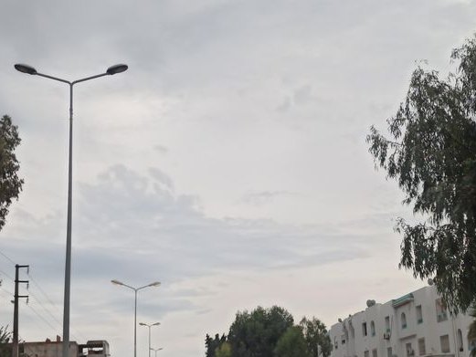 Floralies, Dar Fadhal