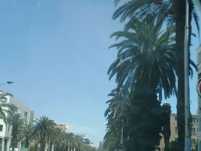 Schilling, Les Jardins