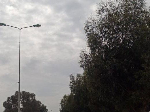 Fraich'heure, Dar Fadhal