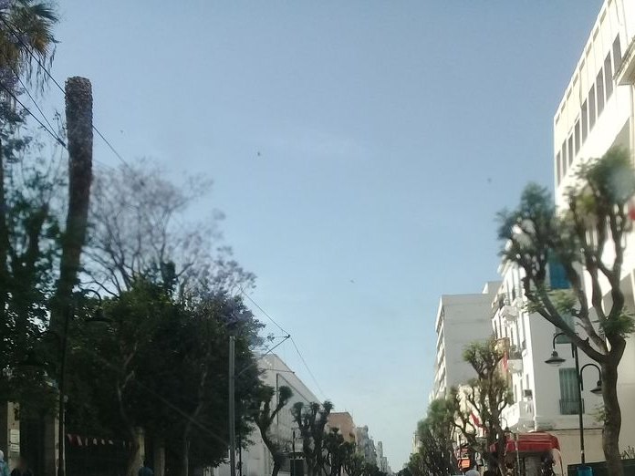 Queen's Food, Médina de Tunis