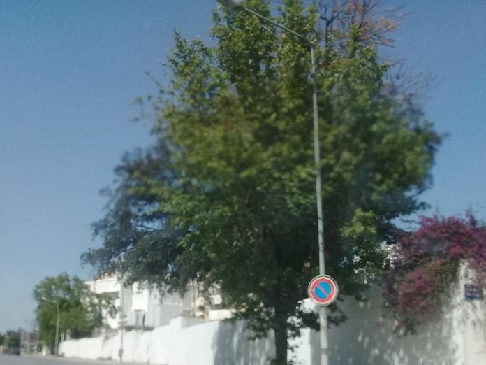 Dar Hmeti, Lafayette