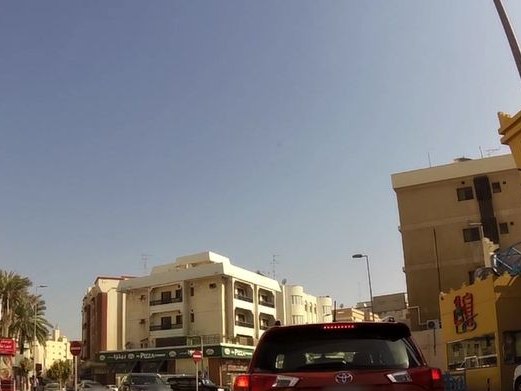 Viola, Adliya