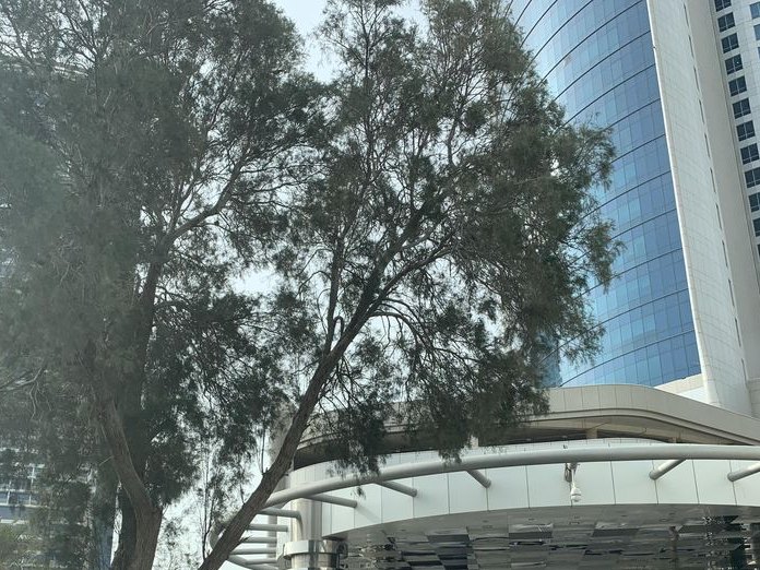 Bo Sabi, Diplomatic Area