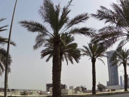 Bahrain National Holding B.S.C. (BNH), Seef