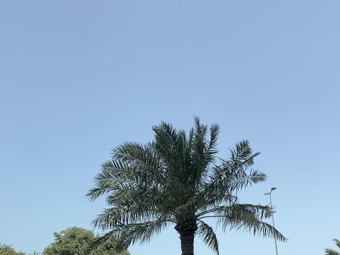 China Garden, Adliya