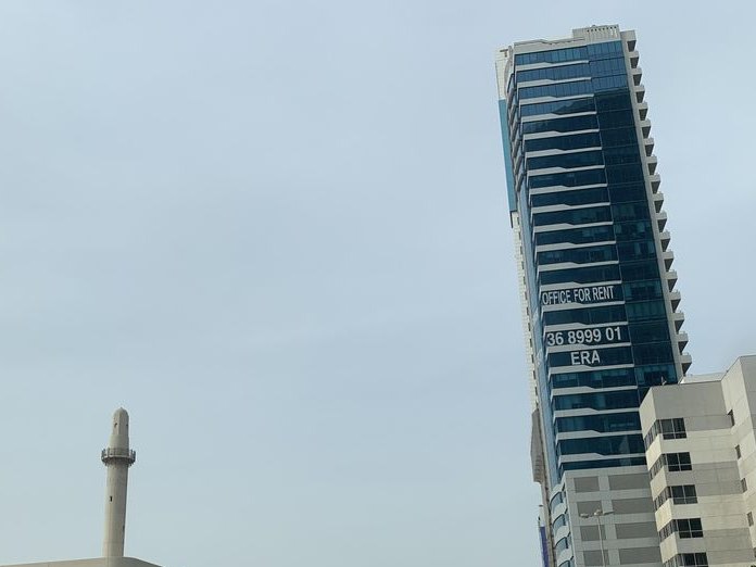 Michel Salon, Diplomatic Area
