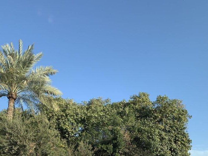 Layali Zaman Shisha Cafe, Al-Qudaibiya