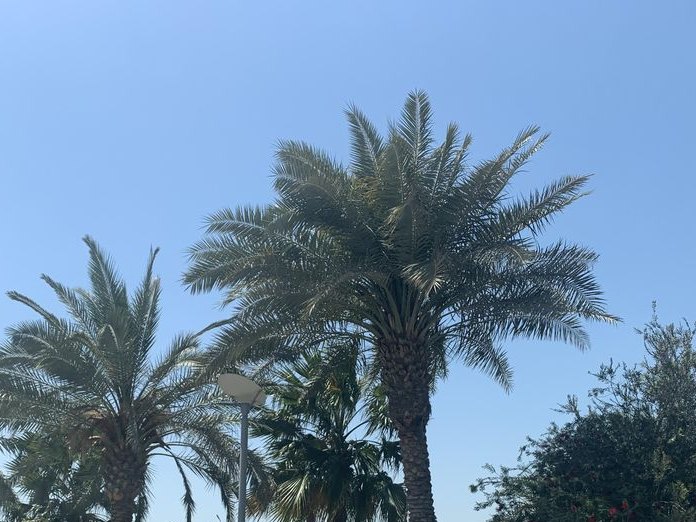 Mashawi Al Abraaj, Halat Al-Sletah