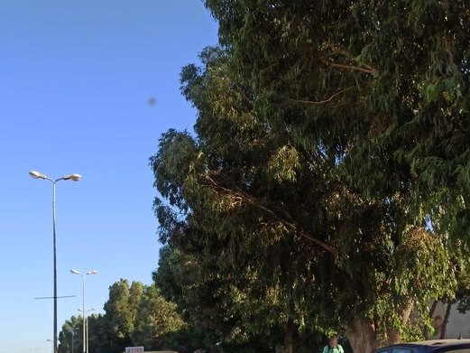 Librairie el Najah, Cité Taeib M'hiri