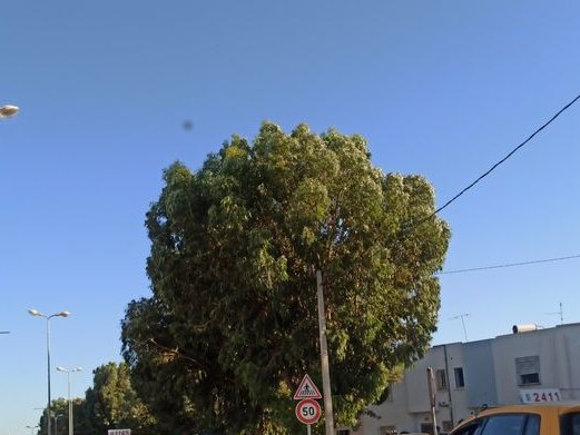 Takacim, Cité Taeib M'hiri