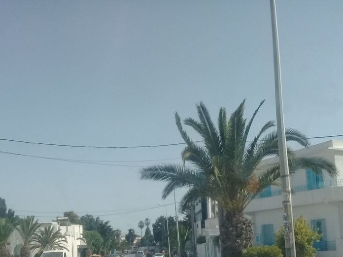 Organic, Marsa Cube