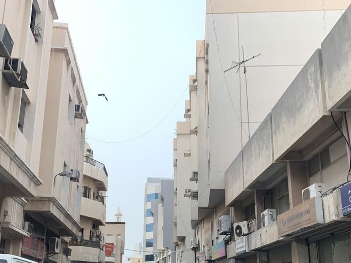Sabaya trading main branch - شركة صبايا التجارية لمستحضرات التجميل الفرع الرئيسي, Al Hoora