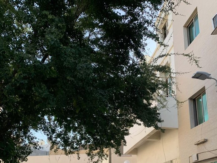 Al Ghus House | بيت الغوص, Bahrain Bay & Manama Centre