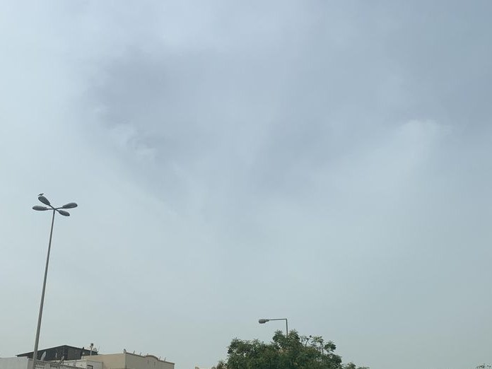 Single Origin, Zayed Town