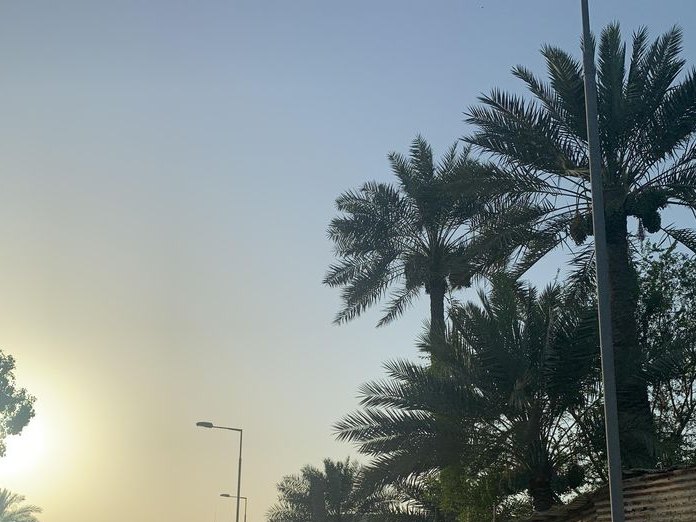 Ketchup and Mayo, Marwazan