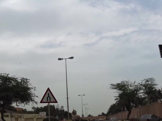 Dar sultana, Riffa