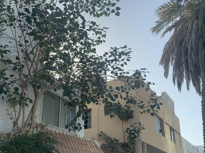 Hookah Garden cafe, Adliya