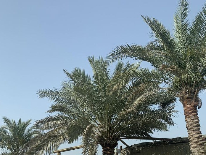 Aali Pottery, Riffa