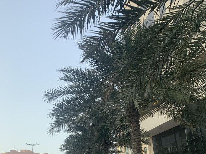 Sabrina Beauty Salon, Seef
