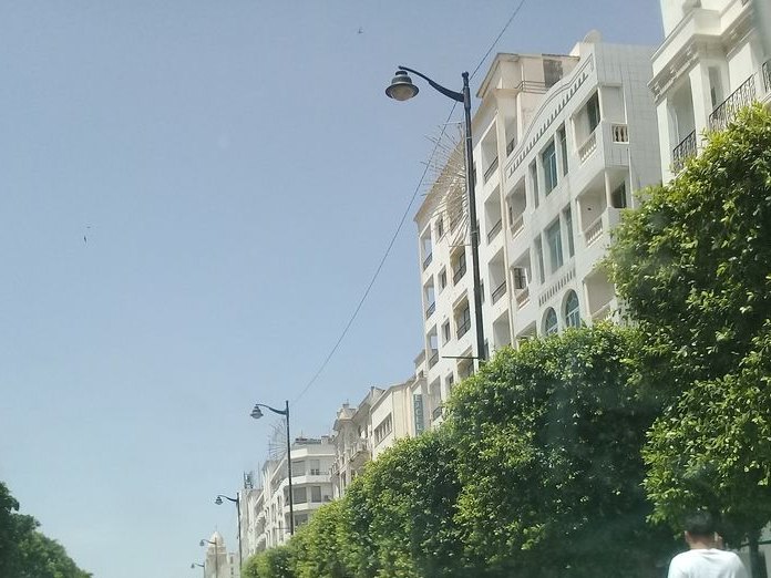 Carlton, Sidi Al Bachir