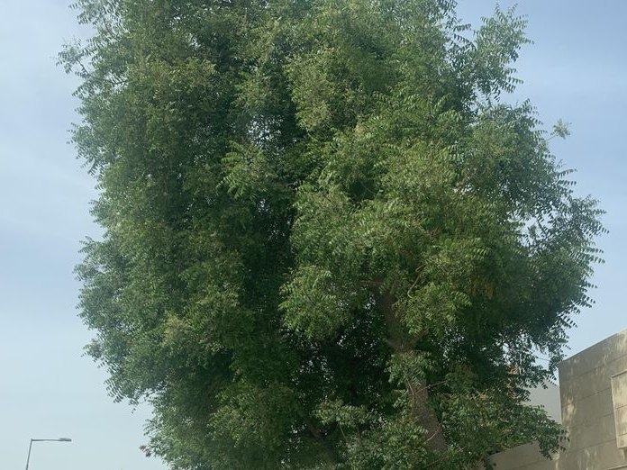 Anamta Beauty Saloon, Riffa