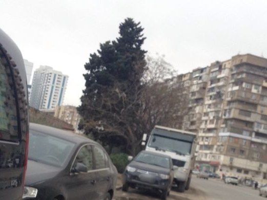 Enjoy Beauty Salon and Clinic, Ясамальский район