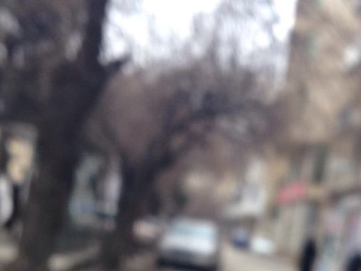 Bərbərim Kişi Salonu, Yasamal rayonu