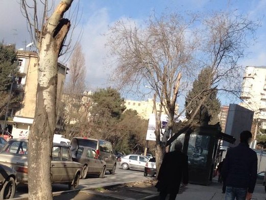 Mütəkkə Home, Nərimanov rayonu