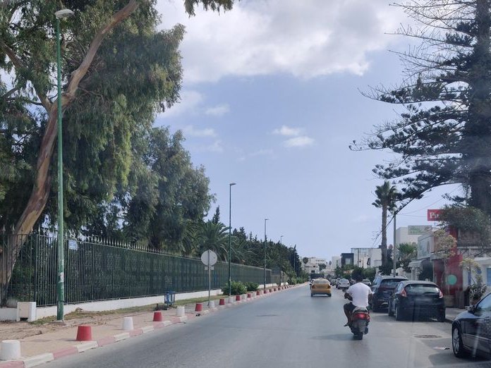 Fleurs de la Marsa, La Marsa