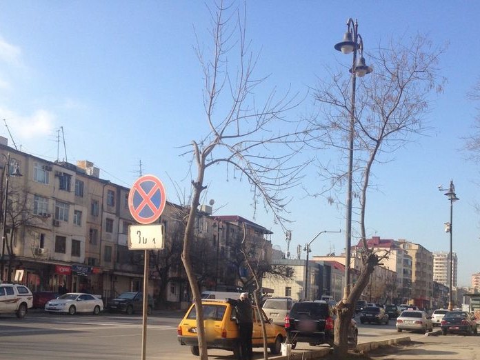 Gizil GÜL Restorant, White City