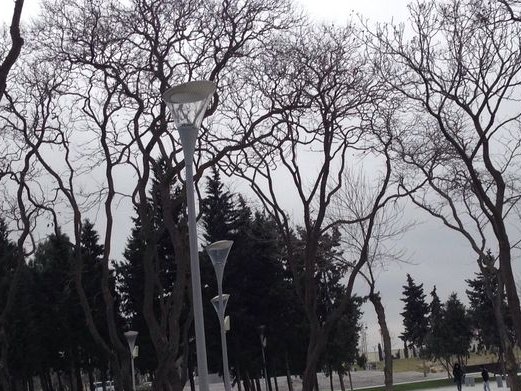 Dədə Qorqud Parkı Idman meydançası, Nizami & Torgovaya