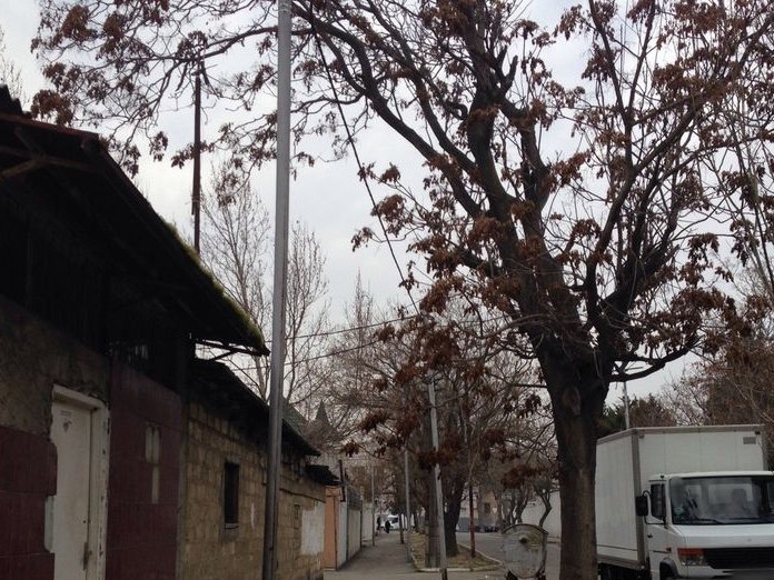 Montin kafe, Montin Qəsəbəsi