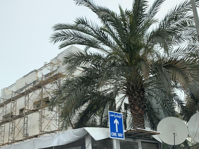 Old Palace Restaurant, Al-Qudaibiya